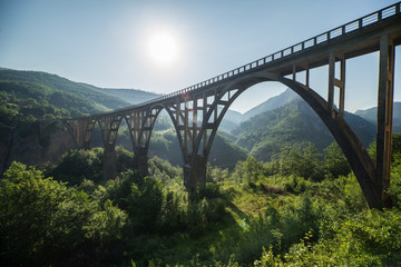 Đurđevića-Tara-Bridge