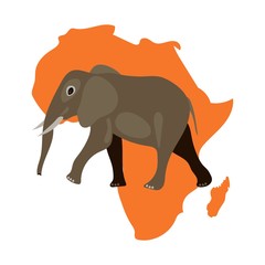 Elephant vector on white background map