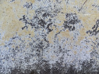 Concrete  old  wall  background  with  copy  space.