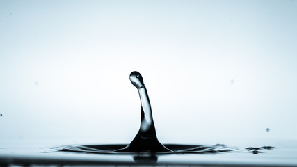 Close-up of a water drop falling on water surface