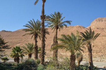 Judean desert in the east of Israel.