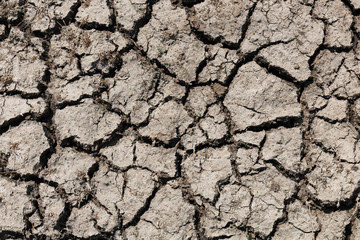 Land with dry cracked ground. Greenhouse effect. Textured background.