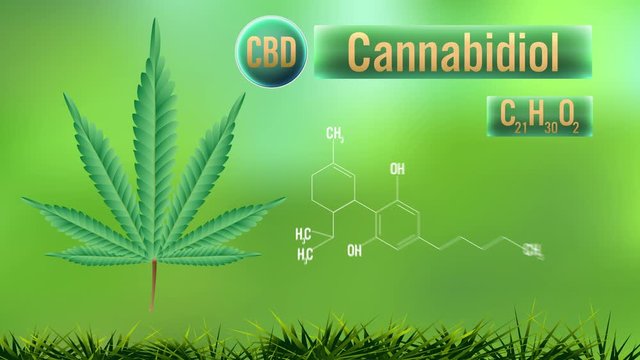 CBD (Cannabidiol) of formula , Cannabis.video animation on green background