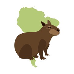  capybara on white background vector map