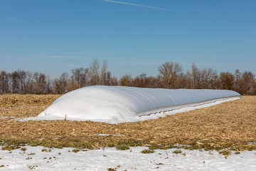 Temporary, outdoor grain bag storage system full of corn in cornfield with snow