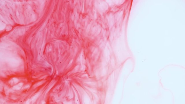 Abstract color ink. Paint reacts creating an abstract swirl. Liquid color paint explosion. Macro shooting 4K UHD footage
