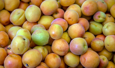 apricot fruits background
