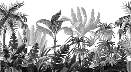 Crédence de cuisine en verre imprimé Noir et blanc Bordure transparente avec des arbres de la jungle dans un style monochrome.