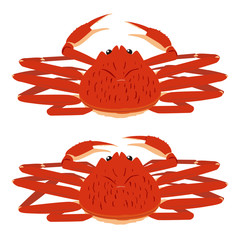 ズワイガニ フチなし 2体セット