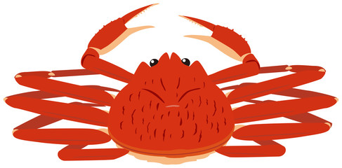 ズワイガニ フチなし01