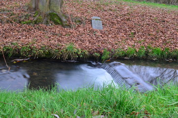 flowing stream in autumn park