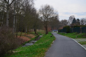 asphalt road in the park