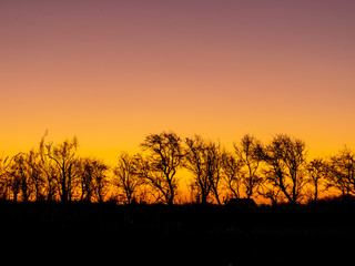 Naklejka premium colorful sunrise on a windy morning with black tree silhouettes in the center of the picture