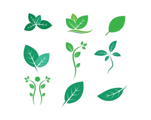 green leaf ecology nature element vector icon of go green