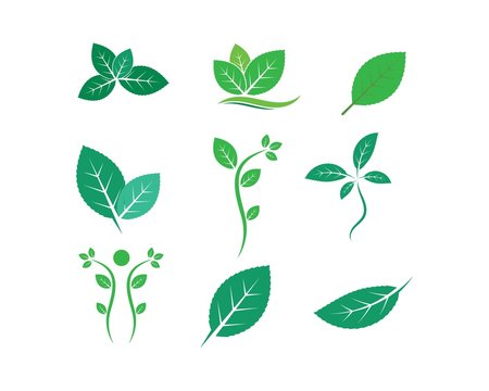 green leaf ecology nature element vector icon of go green
