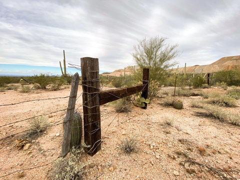 Southwestern Desert Landscape with Barbed Wire Fence
