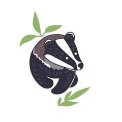 Badger vector illustration. Hand drawn cute Meles meles walking with leaves. © Ann