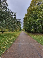path in the park