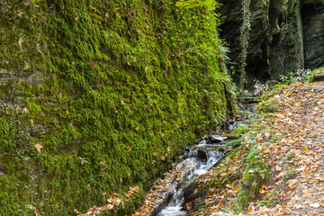 The creek Tiefenbach near Bernkastel-Kues on river Moselle in autumn