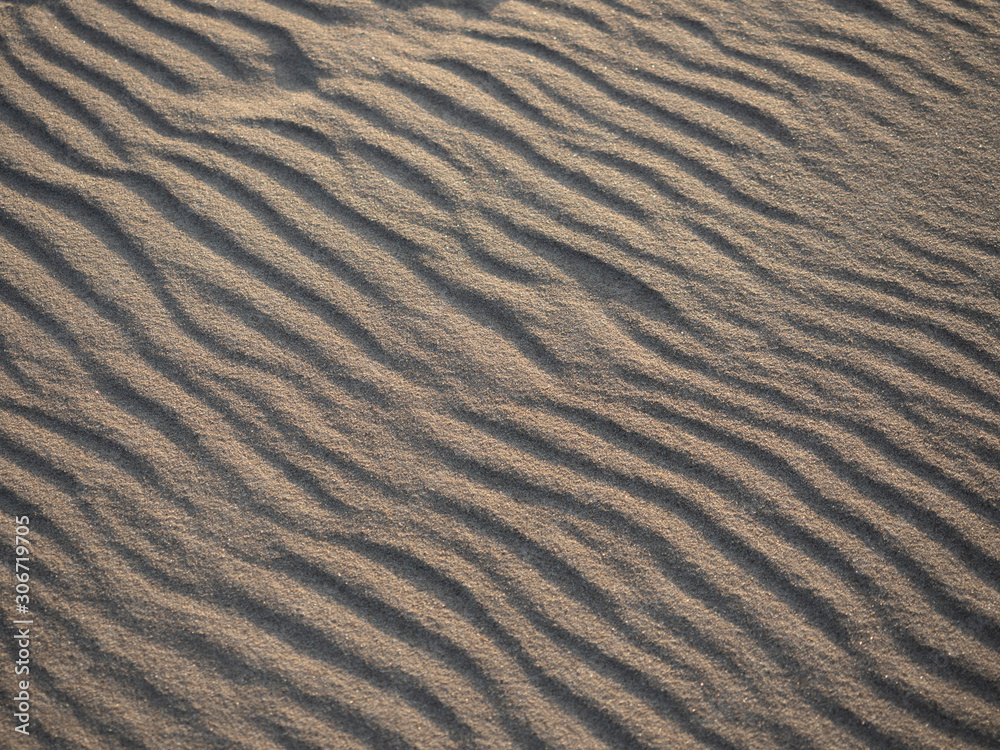 Wall mural Ripples and footprints in the sand