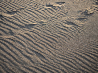 Ripples and footprints in the sand
