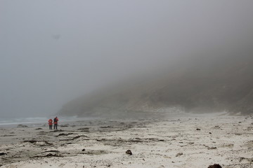 Falklandinseln Strand im Nebel