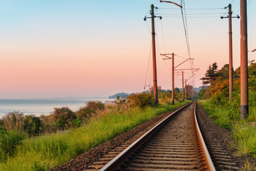 Fototapeta na wymiar View of the railroad along coastline through the plants
