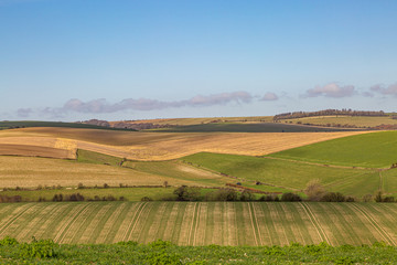 Fototapeta na wymiar Looking out over patchwork fields in Sussex, on a sunny winters day