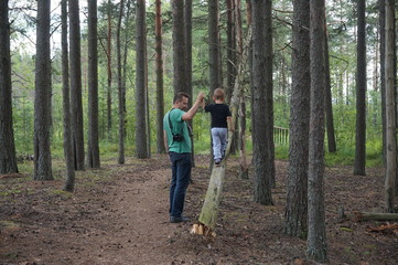 Man helps a boy to keep balance while he is walking along a fallen tree in the forest