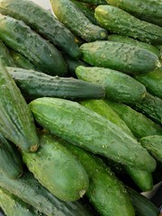 Group green fresh cucumbers market