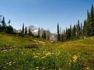 Fototapeta premium The Northern Cascade Range with Mount Baker and Maple Pass
