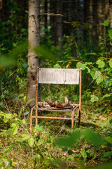 old wooden metal chair in the green forest