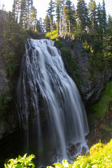 Obraz premium waterfall in forest