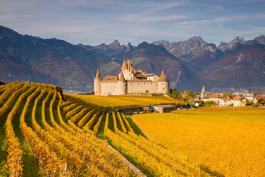sunny autumn day at the castle of Aigle in canton Vaud, Switzerland