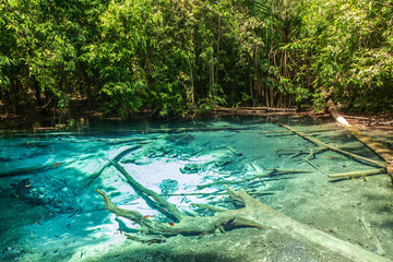 Emerald Pool Krabi Thailand