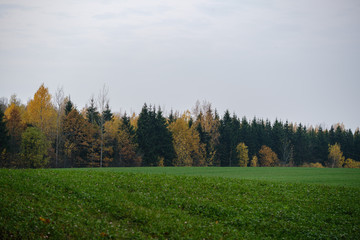 countryside fields and meadows in autumn. scenic view