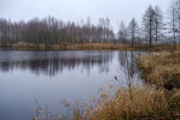 small forest lake in countryside with water reflections