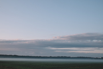 Green field in the early morning in the fog, beautiful sky in the clouds.