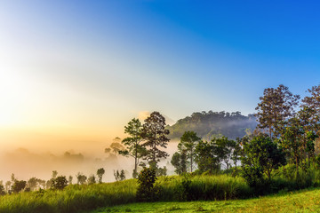 Beautiful sunrise in the morning above the meadow with blue sky at Thung Salaeng Luang National Park, A famous local attraction in Thailand.