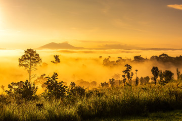 Beautiful sunrise in the morning above the meadow at Thung Salaeng Luang National Park, A famous local attraction in Thailand.