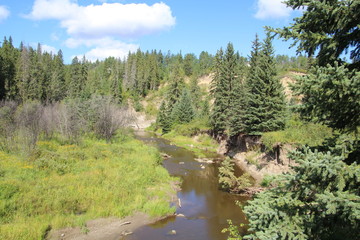 Fototapeta na wymiar August On The Creek, Whitemud Park, Edmonton, Alberta