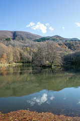 Fototapeta premium lago di montagna