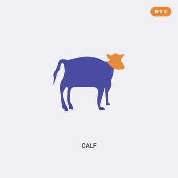 2 color Calf concept vector icon. isolated two color Calf vector sign symbol designed with blue and orange colors can be use for web, mobile and logo. eps 10.