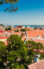 Naklejka premium Historical old town of Tallinn, capital of Estonia
