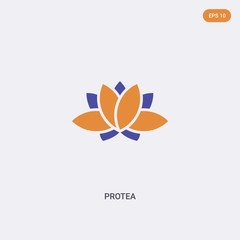 2 color Protea concept vector icon. isolated two color Protea vector sign symbol designed with blue and orange colors can be use for web, mobile and logo. eps 10.