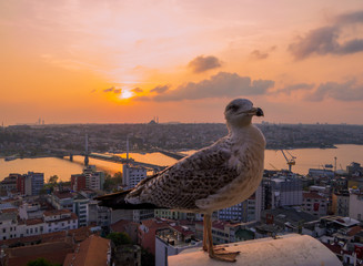 Sunset aerial view of Istanbul, Turkey