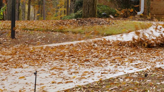 Man using electric powered leaf blower to blow and remove autumn leaves. Landscape worker clearing fall leaves from residential driveway.