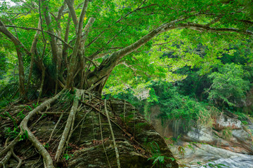 Taroko Pavilion Scenic Area, Hualien, Taiwan