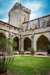 Pont d'avignon, Avignon ville médiévale avec le palais des papes, Vaucluse, France
