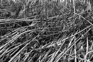 Umweltschutz Hintergrund